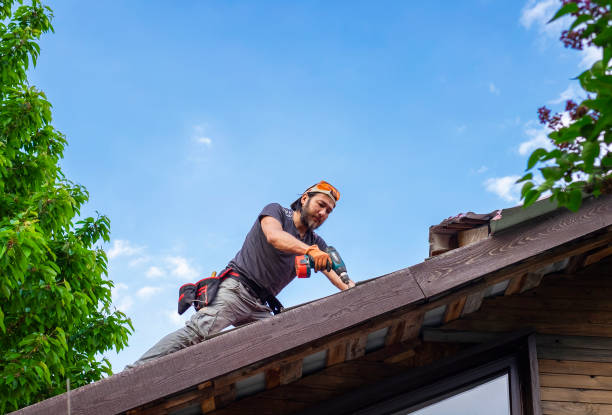 Best Solar Panel Roofing Installation  in USA